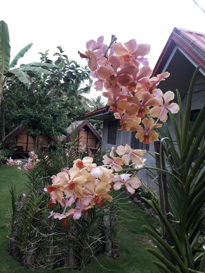 Lhoyjean Garden Hostel Batuan Esterno foto