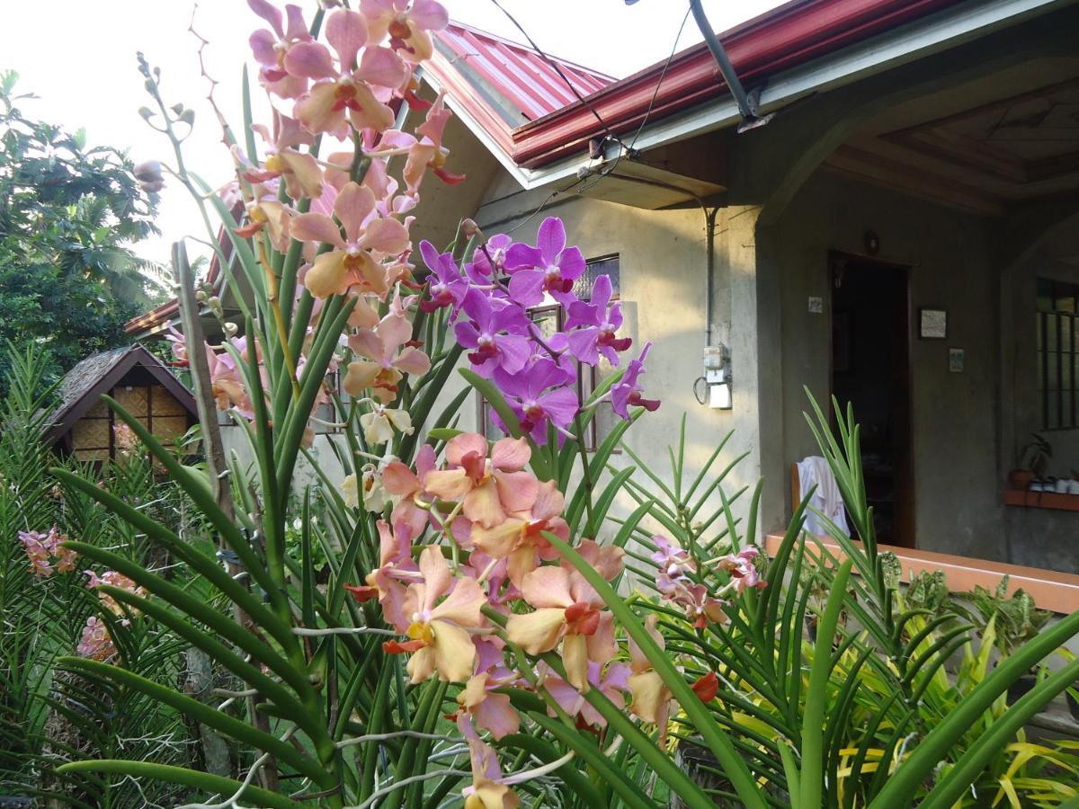 Lhoyjean Garden Hostel Batuan Esterno foto
